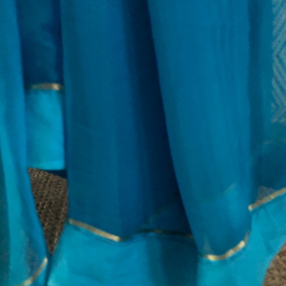 Beautiful Indian Pakistani chiffon saree - Picture 5 of 7